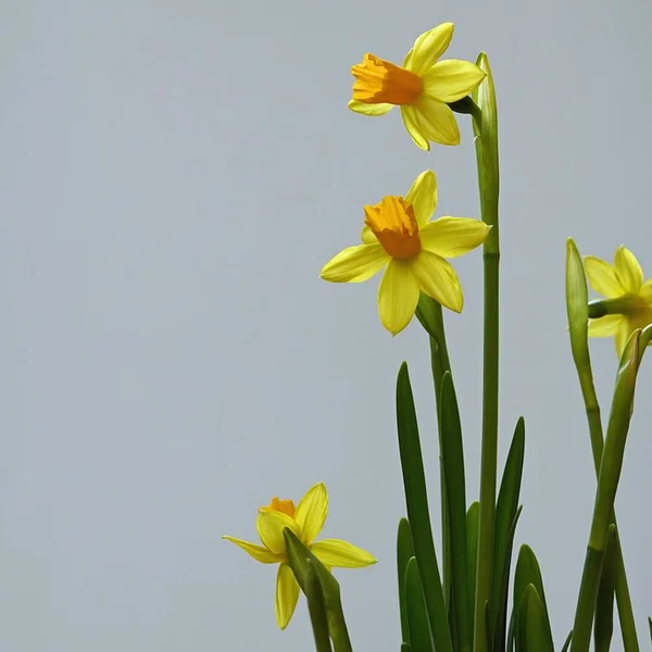 赌博网站捕鱼游戏